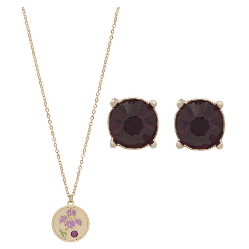 Birth Flower Pendant Necklace and Earring Set February Iris With Amethyst